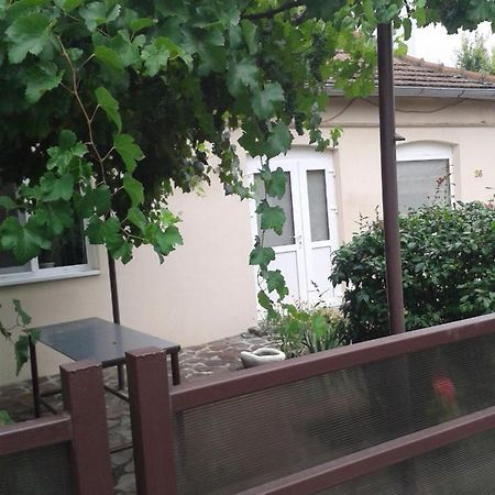 Pensiunea Casa Didina Bacău Exteriör bild
