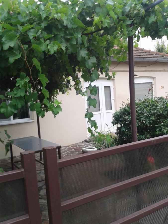 Pensiunea Casa Didina Bacău Exteriör bild