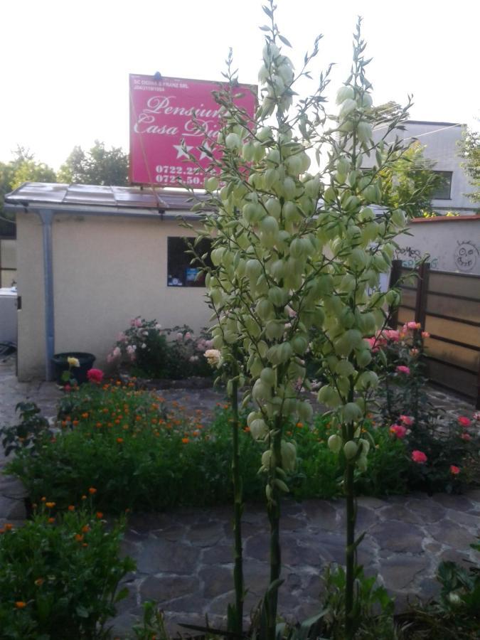 Pensiunea Casa Didina Bacău Exteriör bild