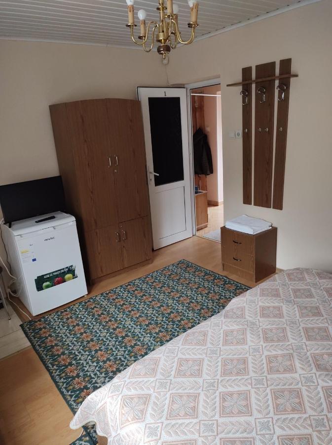 Pensiunea Casa Didina Bacău Exteriör bild